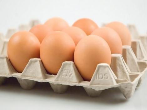 Tu ştii ce se întâmplă în corpul tău când mănânci ouă? Efectele sunt uimitoare şi se văd imediat! Cercetătorii au fost surprinşi