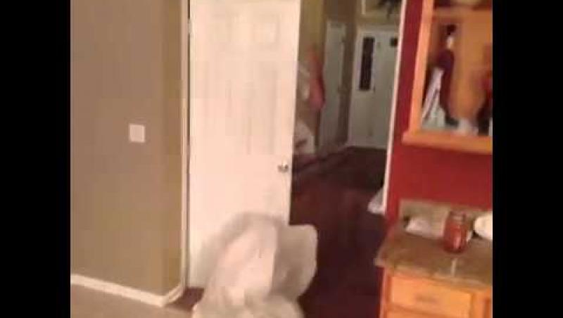 A vrut să facă pe fantoma, dar i-a venit ușa de hac! Vei muri de râs dacă vezi ce a pățit! (VIDEO)