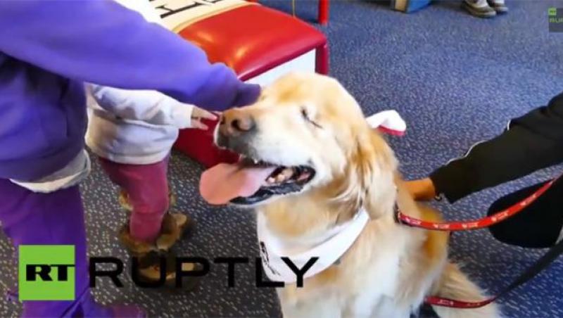 Lecția de viață care a impresionat milioane de oameni! Un câine născut ORB e sprijin pentru copiii cu autism! VIDEO