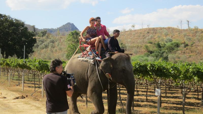 Cât timp a stat în Thailanda pentru reality show-ul „Temptation Island – Insula iubirii”,  Radu Vâlcan a filmat printre șopârle, maimuțe și elefanți