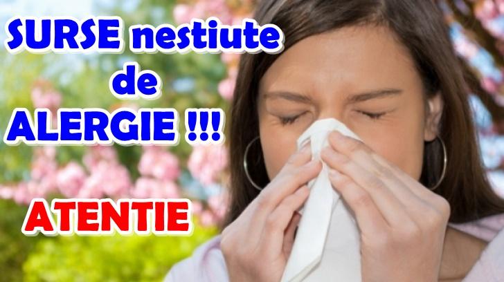 Le ai în casă, dar nu știai cât sunt de PERICULOASE! 10 surse din locuința ta care îți provoacă ALERGIE