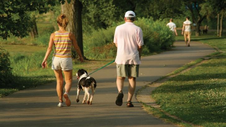 Ieşi cu c&acirc;inele la plimbare? Mare atenţie! P&acirc;nă acum au fost date amenzi de 30 000 de lei pentru un lucru banal