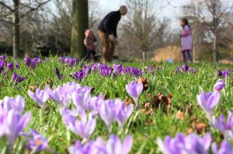 Prognoza meteo: Cum va fi VREMEA până pe 22 martie! Veştile nu sunt deloc bune