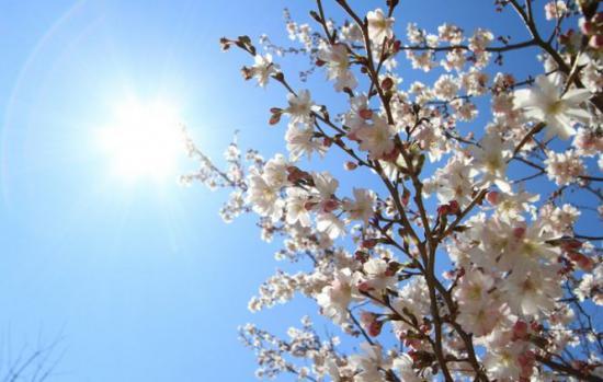 Vești bune! &Icirc;n zilele de Paște, vremea va fi frumoasă la nivelul &icirc;ntregii țări, dar noaptea de &Icirc;nviere va fi friguroasă