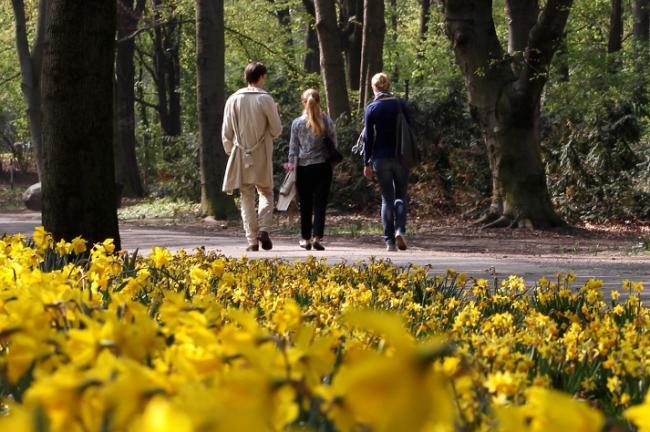 Anunţ de ultimă oră făcut de meteorologi: Ce se &icirc;nt&acirc;mplă cu vremea marţi, &icirc;n toată ţara! Veştile nu sunt deloc bune