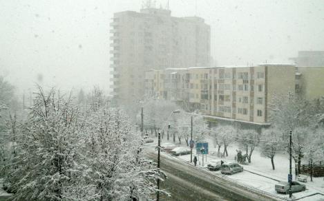 România. Aprilie, 2: Ninge ca-n povești în toiul primăverii, iar stratul de zăpadă e de 10 centimetri! Vezi imagini LIVE