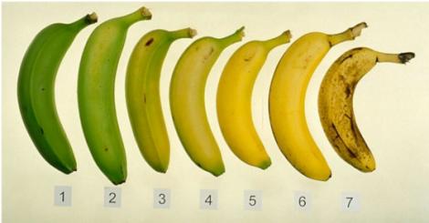 Verzi sau bine coapte? Diferența URIAȘĂ între bananele pe care le găsești pe rafturile supermarketurilor