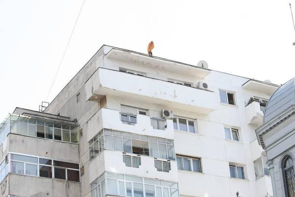 Primele declaraţii OFICIALE despre cazul femeii care s-a sinucis după 30 de ore de ameninţări! Ce s-a &icirc;nt&acirc;mplat de fapt