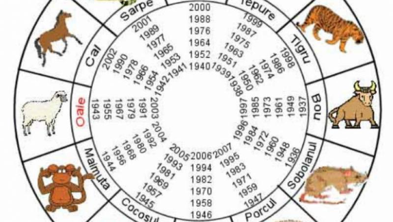 Zodiacul chinezesc scoate la iveală lucruri îngrijorătoare! Află ce ţi-au pregătit astrele în funcţie de anul naşterii