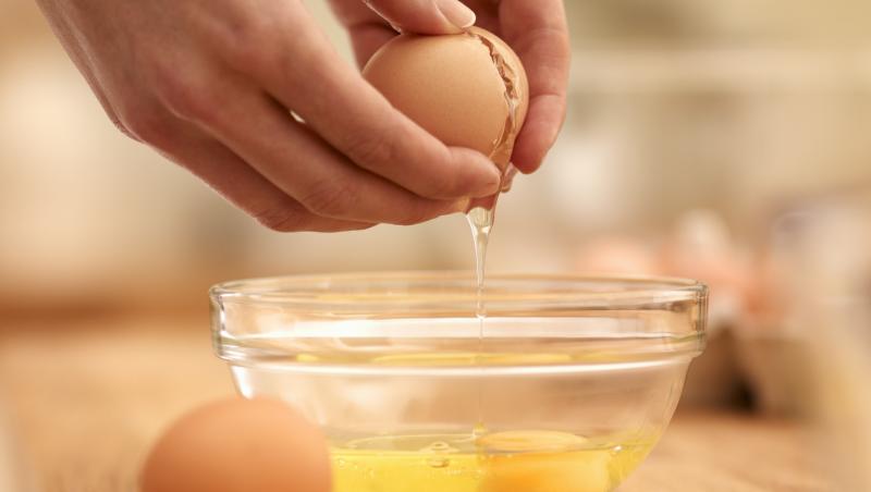 A găsit un OU măricel și a vrut să vadă ce e înăuntru! Dar când l-a spart a rămas MUT de UIMIRE! „Nu credeam că este posibil așa CEVA!”