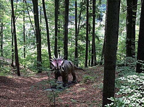 Locul din Rom&acirc;nia pe care trebuie să-l vezi cel puţin o dată-n viaţă! Pur şi simplu ţi se va tăia răsuflarea. E MINUNAT