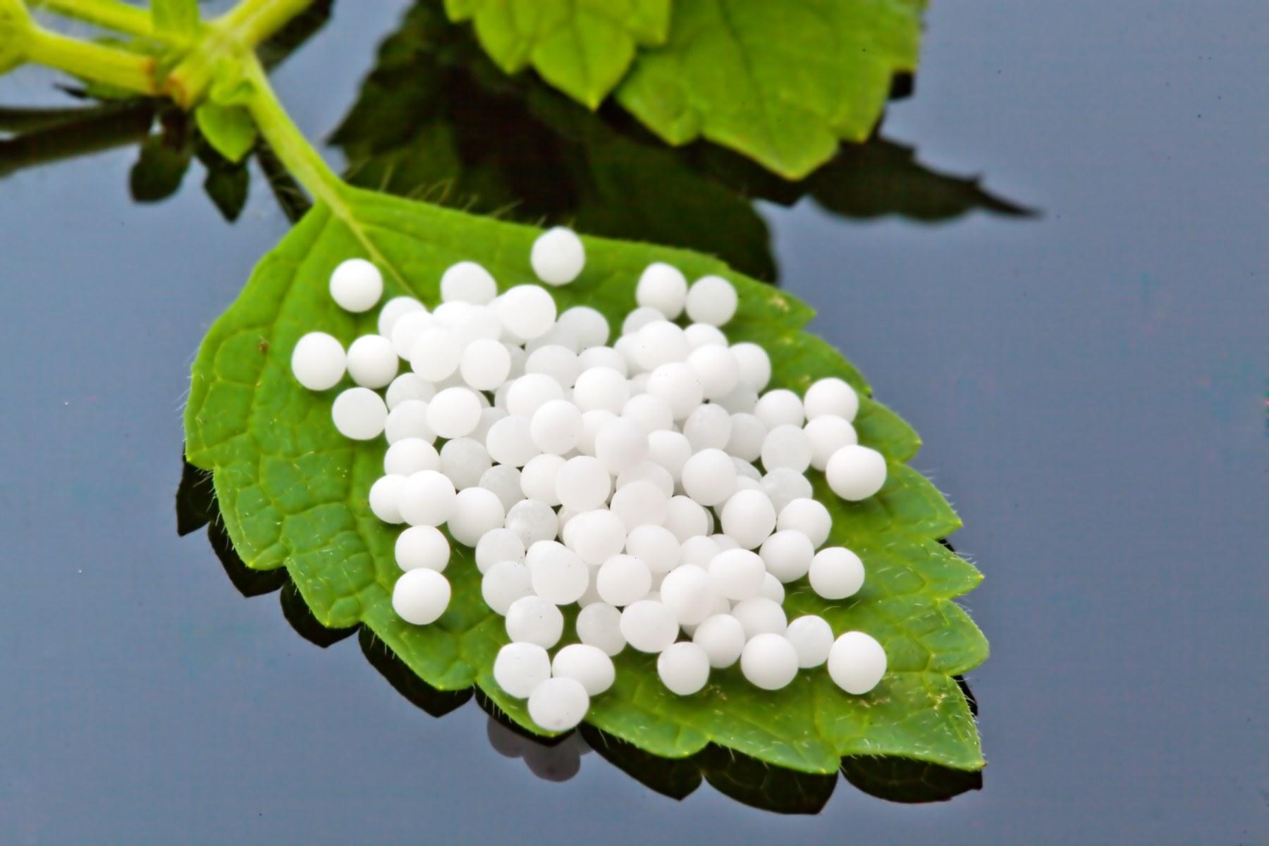 Și tu bei &rdquo;CEAI VERDE&rdquo;? Este cel mai periculos DROG din Rom&acirc;nia! Iată ce ți se &icirc;nt&acirc;mplă