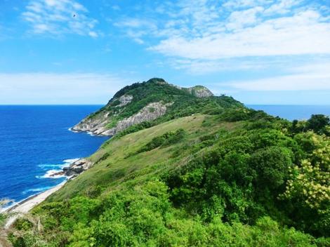 "Ilha da Queimada Grande", cea mai periculoasă insulă din lume! Dacă păşeşti aici, nu mai ai cum să pleci viu