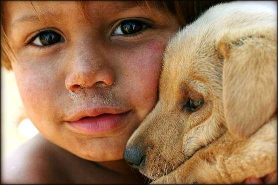 NU s-a mai pomenit aşa ceva! Ţara &icirc;n care locuitorii preferă c&acirc;inii &icirc;n defavoarea copiilor! De ce se &icirc;nt&acirc;mplă acest lucru