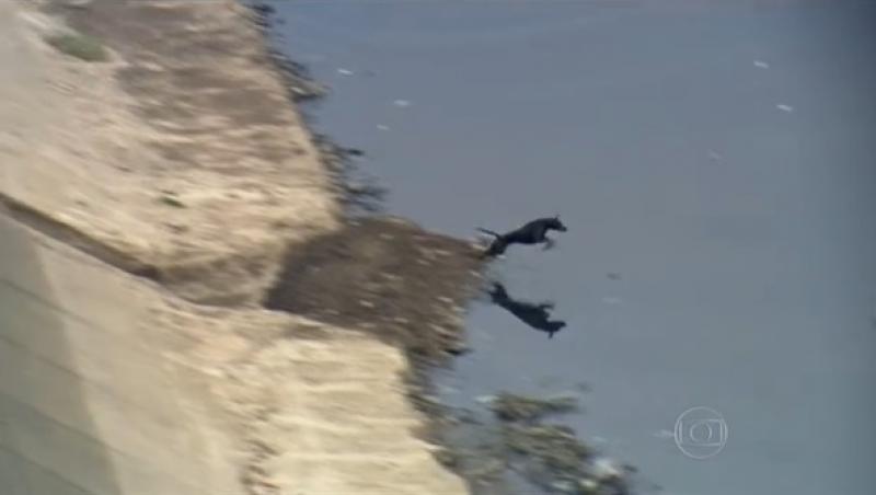 O dronă filma deasupra unui lac poluat atunci când a surprins ASTA! „Dumnezeule, ce face acest animal?!” (VIDEO)