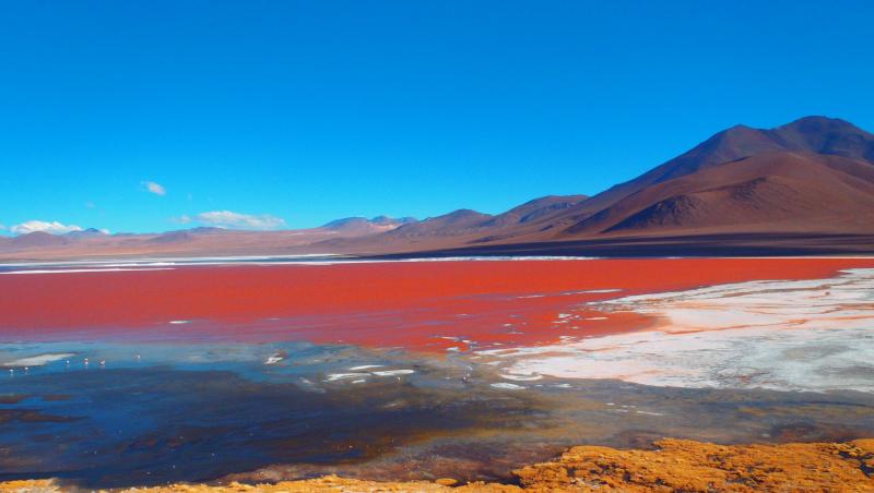 LAGUNA COLORATĂ DIN BOLIVIA: lacul care azi e roșu, mâine, verde. Aici e maternitatea păsărilor FLAMINGO