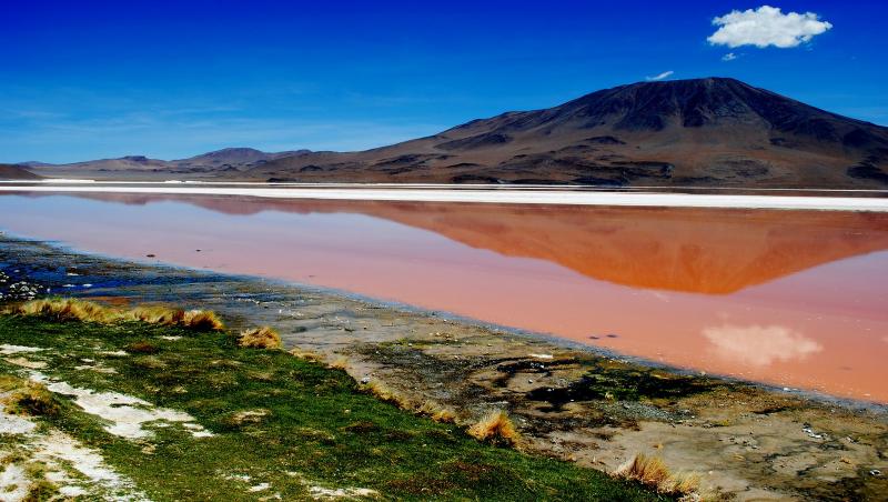 LAGUNA COLORATĂ DIN BOLIVIA: lacul care azi e roșu, mâine, verde. Aici e maternitatea păsărilor FLAMINGO
