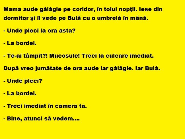 Bancul zilei: Mama aude gălăgie pe coridor, în toiul nopţii. Iese din dormitor şi îl vede pe Bulă cu…