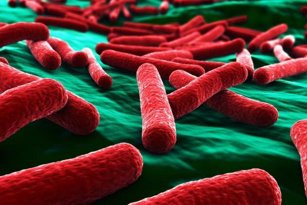 Observator 19: E-coli, inamicul invizibil al celor mici