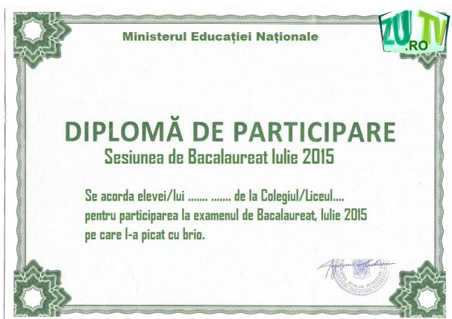 Nu ai luat Bacalaureatul? Iată ce pot face cei care au picat examenul!