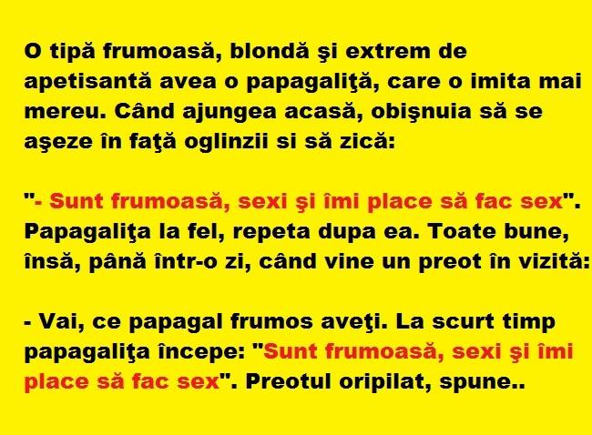 Bancul zilei: O tipă frumoasă, blondă şi extrem de apetisantă avea o papagaliţă, care…