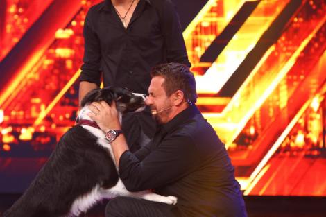 Horia Brenciu, Dr. Dolittle la X Factor