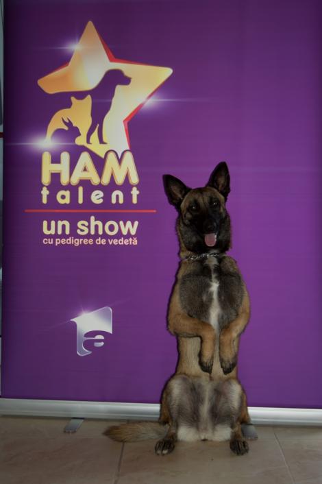 Preselecțiile pentru show-ul „Ham talent” ajung în Oradea, la Casa de Cultură a Sindicatelor