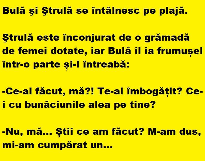 Bancul zilei: Bulă şi Ştrulă se întâlnesc pe plajă, unde Ştrulă este înconjurat de…