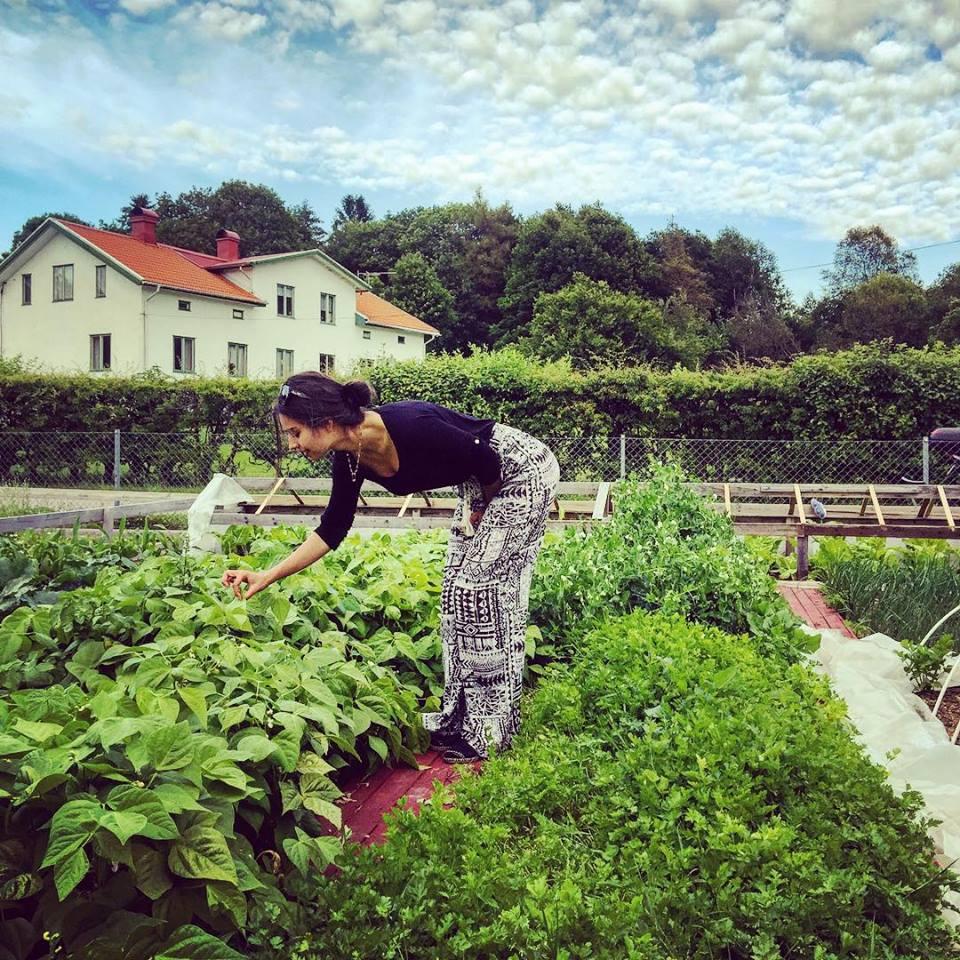 Amine G&uuml;lșe din &bdquo;Prizoniera dragostei&rdquo; are drept hobby grădinăritul