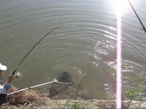 Captură record făcută de un bărbat: A prins un somn de 77 de kilograme pe râul Prut