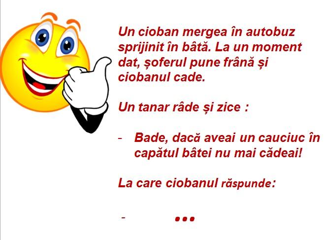 Bancul zilei! Un cioban mergea în autobuz sprijinit în bâtă. La prima frână bruscă, ciobanul cade. Un tânăr îi zice râzând... "