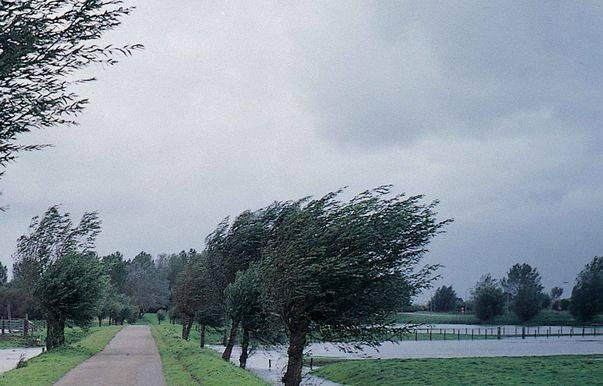 Anunţul de ultimă oră făcut de meteorologi: Ploi şi v&acirc;nt puternic, p&acirc;nă vineri noapte! Care sunt zonele afectate