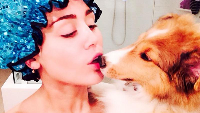 Miley Cyrus adoră animalele