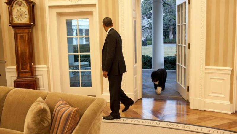 Barack Obama are doi câini adorabili