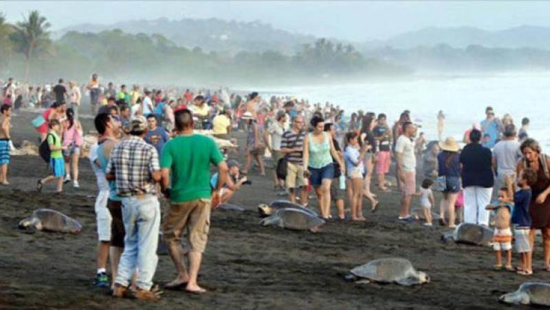 Imagini uimitoare: Distracţia le-a fost întreruptă de un fenomen inedit! Ce a apărut pe o plajă pe care se aflau mii de turişti