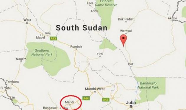 Sudanul de Sud: Peste 100 de morți după explozia unui camion-cisternă