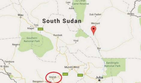 Sudanul de Sud: Peste 100 de morți după explozia unui camion-cisternă