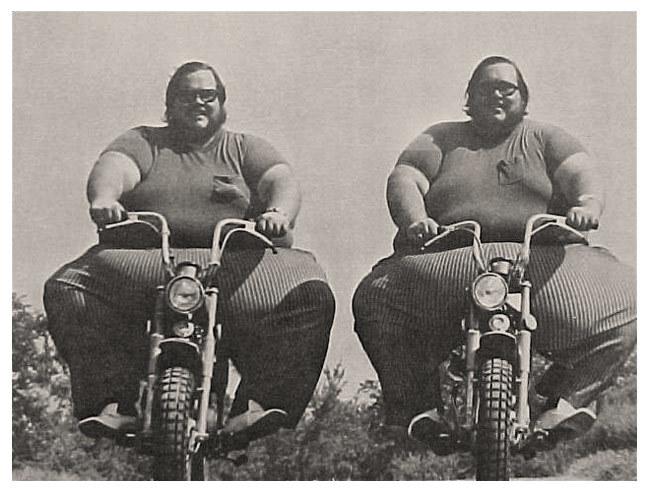 Record absolut! Cum arată cei mai graşi gemeni din istorie! C&acirc;ntăreau &icirc;mpreună  666 de kilograme şi măsurau, &icirc;n talie, aproape 2,13 m