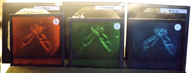 De la ei "se trage" ultimul tău selfie de pe Facebook! Cum a apărut prima fotografie color din lume