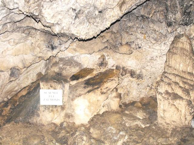 Planta care vindecă orice boală creşte &icirc;ntr-o peştera, din Gorj