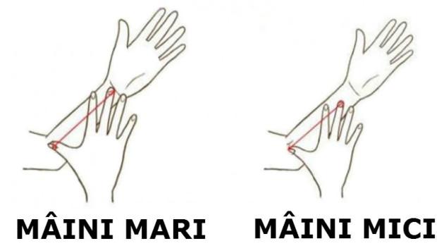 Află totul despre partenerul tău făc&acirc;ndu-i TESTUL M&Acirc;INII: Lungimea şi forma &Icirc;I trădează personalitatea