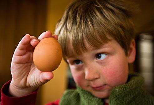 Curiozități despre ouă! Te vei uita altfel în farfurie dacă afli aceste lucruri!