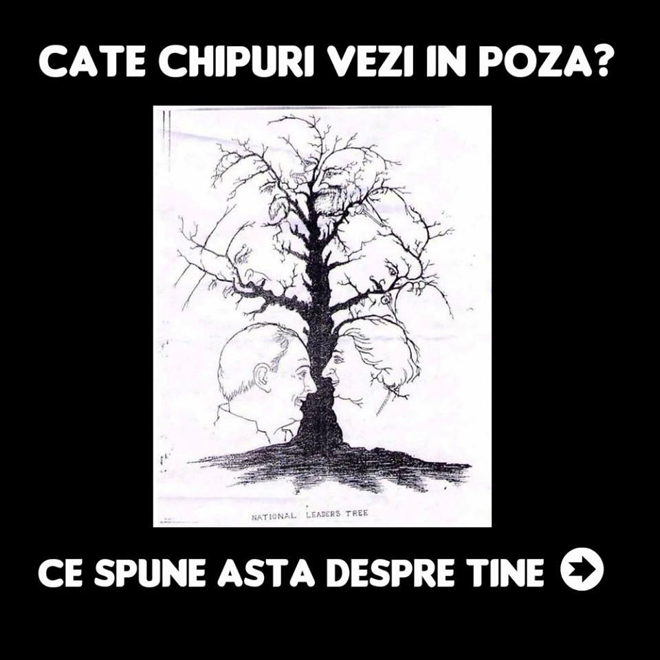 TEST. Privește cu atenție: Tu c&acirc;te chipuri vezi &icirc;n imagine?