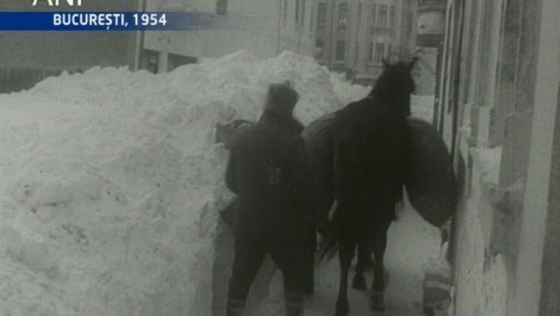 România sub zăpadă. Februarie 1954. București