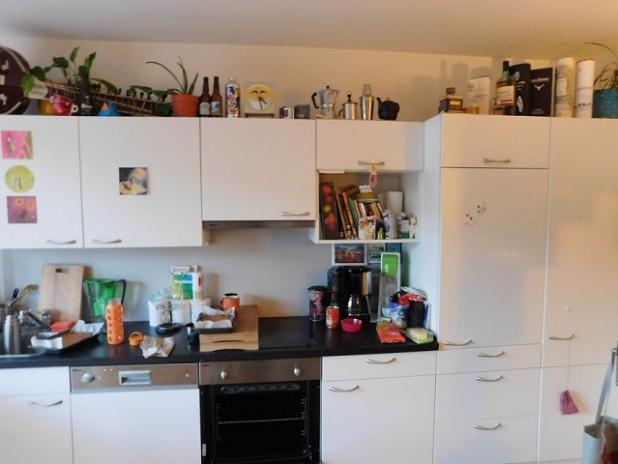 Tu găseşti pisica &icirc;n imagine? E chiar &icirc;n faţa ochilor tăi! &Icirc;ncearcă să NU TRIŞEZI!