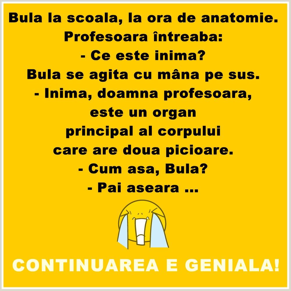 Bancul zilei: Bulă, la ora de ANATOMIE! Întrebarea profesoarei: Ce este inima? Răspuns...