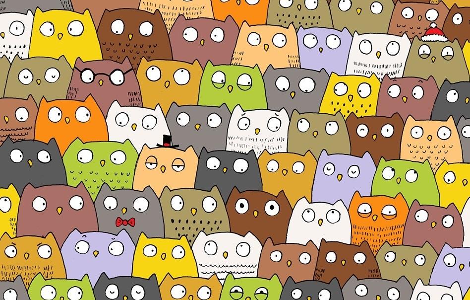 Cea mai SIMPATICĂ PROVOCARE! Ai curaj să &icirc;ncerci? Găseşte pisica din imagine