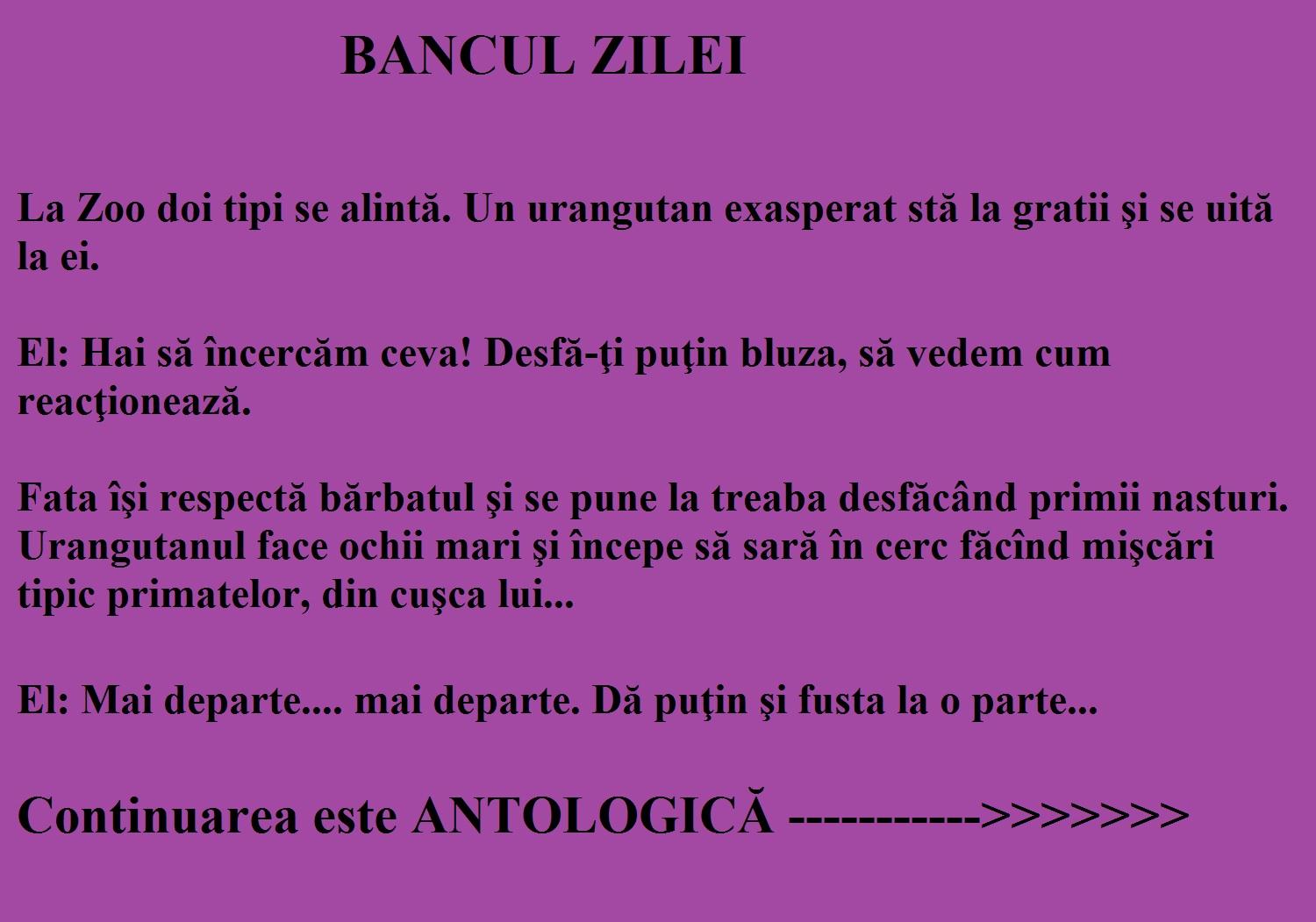 Bancul zilei. Ce se întâmplă când un urangutan privește doi îndrăgostiți