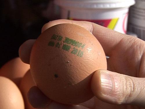 Punem pariu că habar nu aveai? Ce &icirc;nseamnă numărul de l&acirc;ngă data de expirare de pe ouă