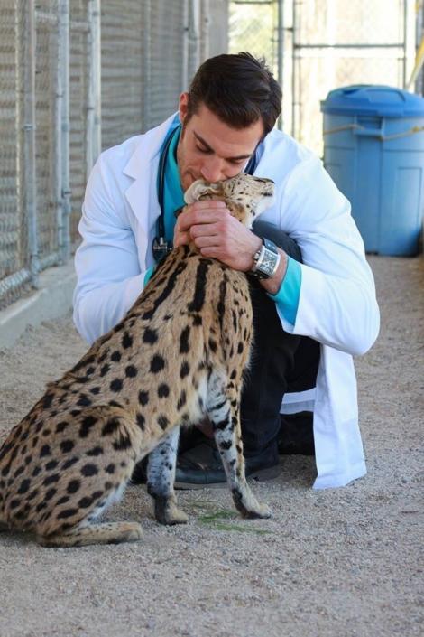 Doamnelor, acesta este cel mai sexy medic veterinar din lume! Nimeni nu i-ar rezista!